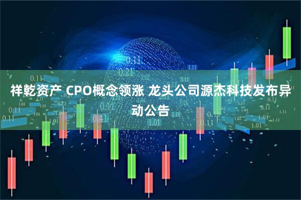 祥乾资产 CPO概念领涨 龙头公司源杰科技发布异动公告