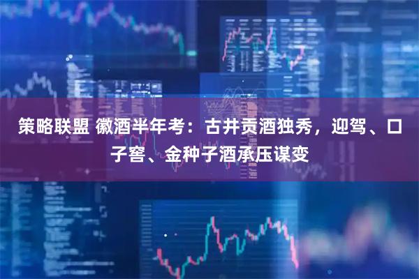 策略联盟 徽酒半年考：古井贡酒独秀，迎驾、口子窖、金种子酒承压谋变