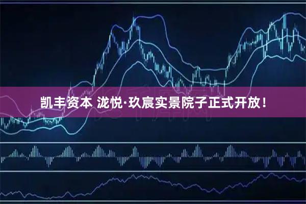 凯丰资本 泷悦·玖宸实景院子正式开放！