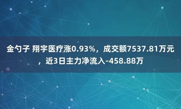 金勺子 翔宇医疗涨0.93%，成交额7537.81万元，近3日主力净流入-458.88万