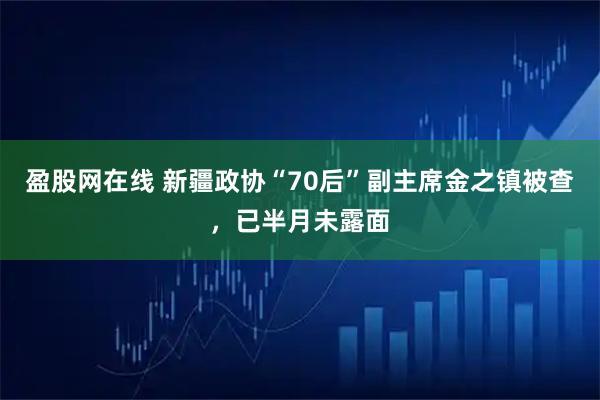盈股网在线 新疆政协“70后”副主席金之镇被查，已半月未露面