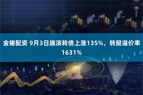 金猪配资 9月3日旗滨转债上涨135%，转股溢价率1631%