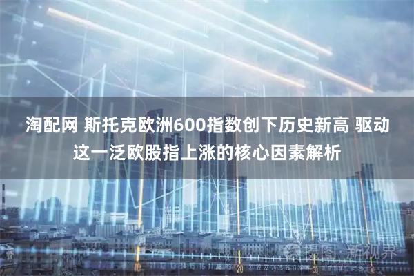 淘配网 斯托克欧洲600指数创下历史新高 驱动这一泛欧股指上涨的核心因素解析